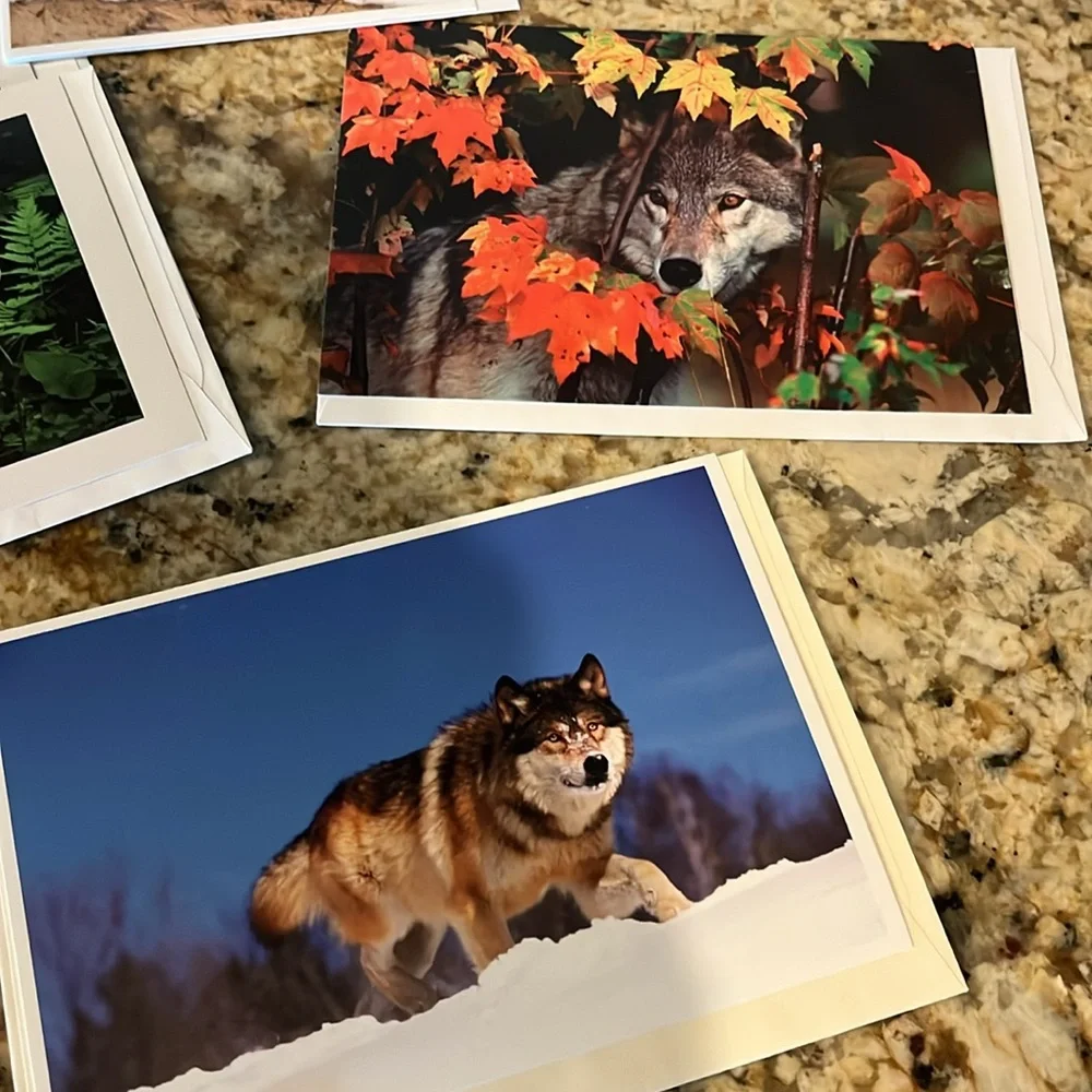 Wolf Themed Greeting Cards Set